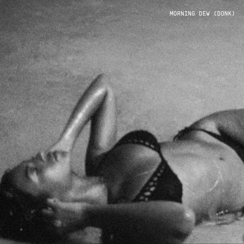 Morning Dew (Donk) by Beyoncé